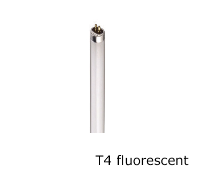 fluorescent t four