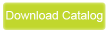 download catalog button